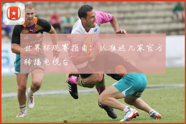 世界杯观赛指南：认准这几家官方转播电视台