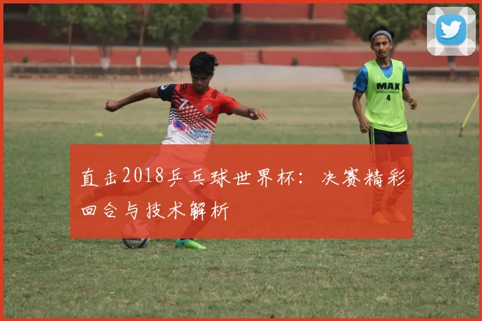 直击2018乒乓球世界杯：决赛精彩回合与技术解析